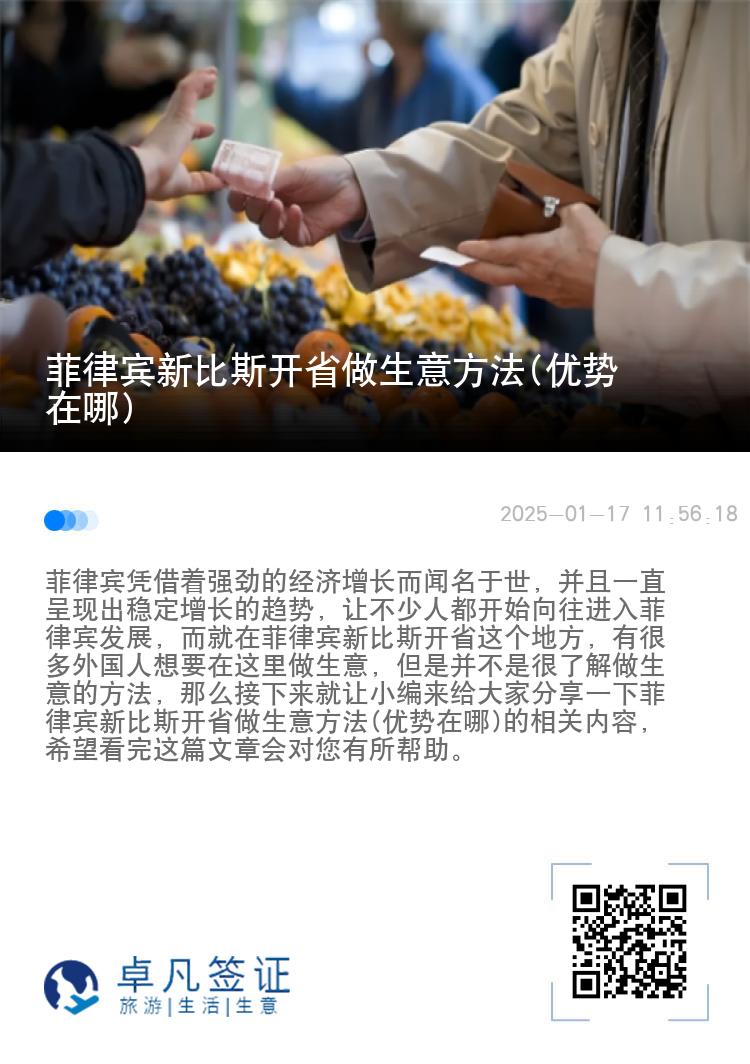 菲律宾新比斯开省做生意方法(优势在哪)